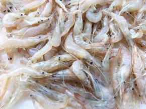 小海虾捞洗干净，去掉杂质，控干水分。