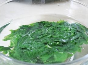 捞出过凉水