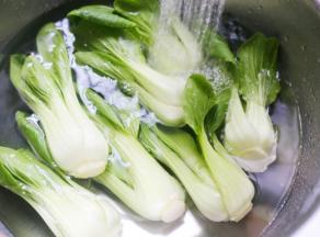 油菜冲洗干净。