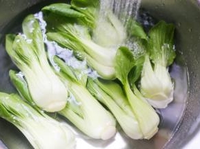 油菜冲洗干净。