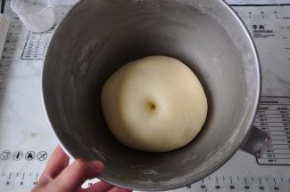 放在温暖处，发酵至2-2.5倍大。用手沾上面粉，轻按不回缩不塌陷就是发好的面团了。