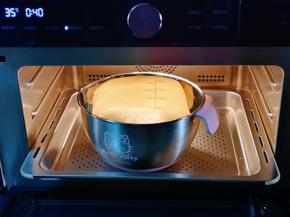 将面团取出揉圆，放入发酵器具中，入蒸烤箱进行发酵。(烤箱发酵也可以，但是最好放一碗开水，这样可以保持面团的湿度同时，还可以节省面团发酵的时间)