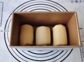 不需要醒发，继续把刚卷好的面团再尽量的擀长，再从上往下卷起，放入吐司盒。
