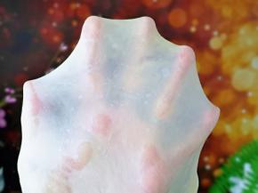 揉面结束后已经有了不容易破的手套膜，可以进行发酵。。(出膜效果特别好，有弹性）