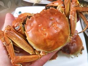 蒸熟等不烫手后，开始最繁琐的拆蟹吧