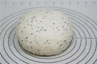 将预好的面团取出，揉至光滑，然后上盖醒十来分钟，这个醒发的时间只适合用来制作一发的餐包。