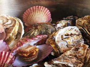 扇贝，牡蛎刷洗干净表面泥沙，锅上气后蒸五分钟，开盖散气，可以看见，扇贝、牡蛎开口了，海鲜不易蒸制时间过久，会使小海鲜失去鲜嫩的口感。