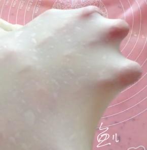 和面40分钟，至出膜