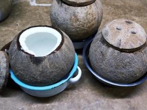 椰子让商家帮忙半开好盖子，回家很容易就打开了