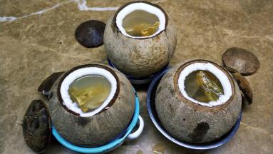 将鲍鱼、花胶、鳄鱼肉干分别放入椰子里，盖上盖子