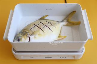 热锅，在锅里倒入适量的油润锅，把鱼放入锅里小火煎一下，这一步让鱼肉更加的紧实，焖的时候不会烂。