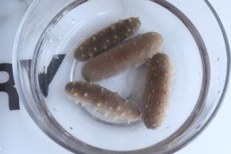 捞出放入冰水。