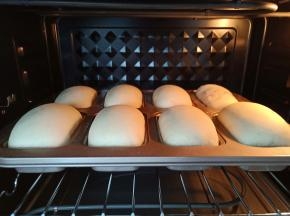 发酵到两倍大，烤箱上下火160度烤15分钟。