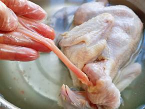 处理买回来的童子鸡，鸡脖子部位的这个一定要拉掉哈，具体叫什么我也不知道，尴尬。