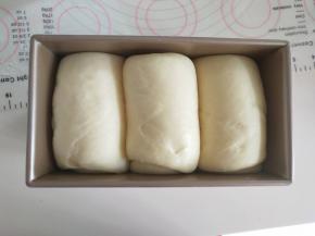 13、发酵到土司盒8分满。