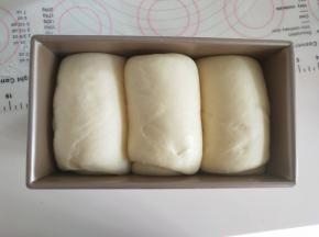 13、发酵到土司盒8分满。