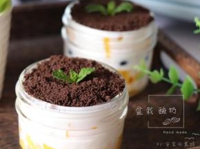 为了让吃酸奶更有趣，吸引不爱吃酸奶的小朋友的目光，可以做成酸奶盆栽，一层水果，一层酸奶，按照这样的顺序装满容器，最上面一层撒上奥利奥饼干屑，插点薄荷叶装饰一下，哪个小朋友会不被吸引呢？