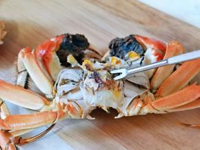 首先把上壳掰开，之后用吃蟹的工具开始啦！这个三角形的地方，切记不能吃，比较寒性的位置。