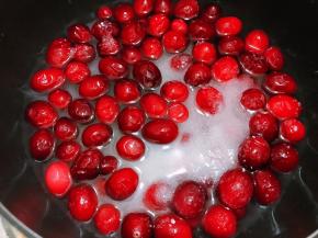 不沾奶锅里加入白糖，清水，蔓越莓。中火开始熬煮