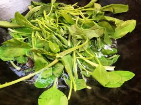 加入青菜，拌散煮沸