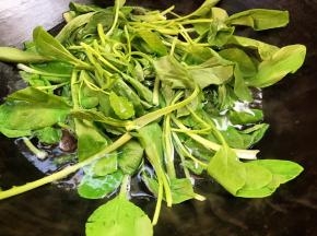加入青菜，拌散煮沸