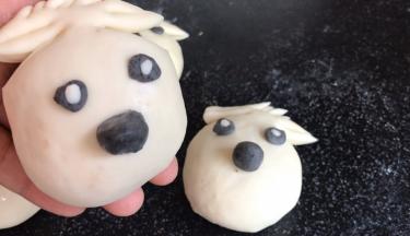 用白面做出眼白部分