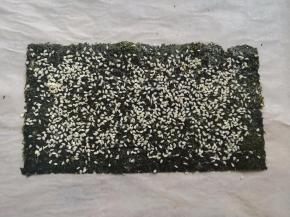 在海苔上撒上适量的白芝麻或者白色的坚果碎，比如花生碎，杏仁碎都可以