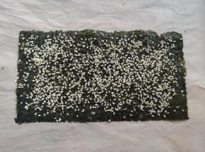 在海苔上撒上适量的白芝麻或者白色的坚果碎，比如花生碎，杏仁碎都可以