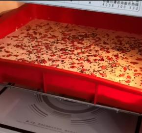 放入微波炉，开启组合烧烤2，加热20分钟