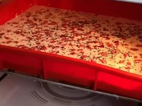 放入微波炉，开启组合烧烤2，加热20分钟
