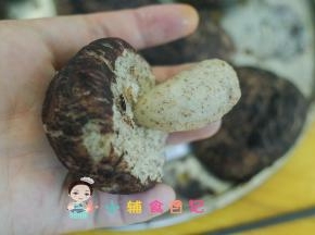 筷子插入馒头底部插个洞，插入一个香菇蒂，这样就做好啦