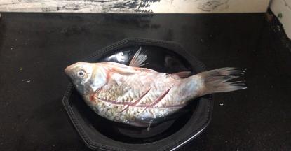 鲫鱼清理干净后，划上花刀，淋入料酒，抹上盐，腌制一小时