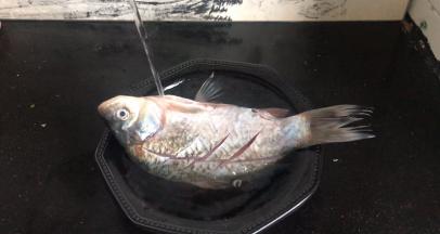 把腌制好的鱼洗净血污