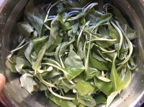 鸡毛菜清洗几遍后沥干水份备用；