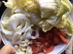 将西红柿洗净切碎，大白菜则将菜梗切成薄条备用，菜叶则稍微撕碎即可；最后切点大蒜调味即可；喜欢生姜也可以切点姜丝。