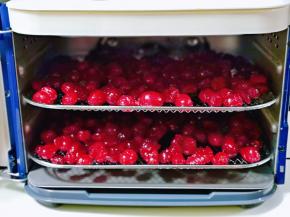 将烤网入果干机中，70度烘8-9小时。