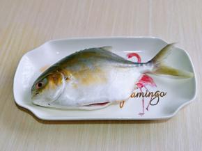 买回来的金鲳鱼，清洗干净，用厨房用纸擦干。