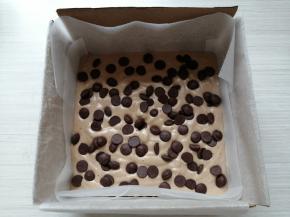 把拌好的2/3蛋糕糊倒入18CM的正方形固底模具里（模具提前铺好油纸，四周插上纸板），在桌面上震出气泡，再把巧克力豆均匀地撒在表面