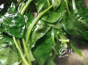 菠菜放入开水中焯烫约半分钟