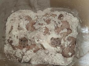 2、除黄油，蔓越莓，橙皮，巧克力豆外全部材料放入面包机中揉面。
。