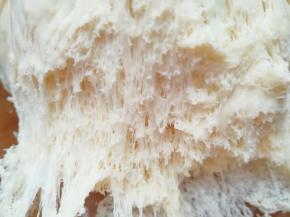 一个小时左右，面团发酵好了。