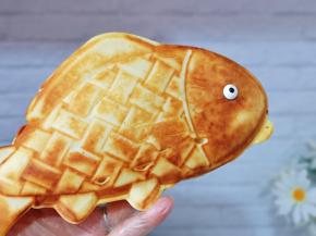 我是一条鱼，一条自由的鱼哈～