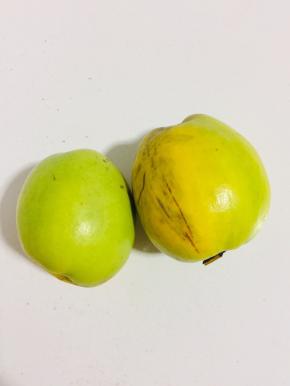 这是邻居给的木瓜！这个木瓜是菜木瓜用糖腌渍特别的好吃哦！