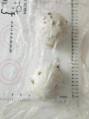 7、取出面团分割成2份，滚圆松弛15分钟。