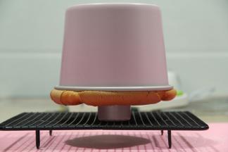 烤好出炉震模具震出热气后立即倒扣冷凉。