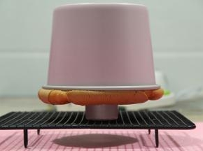 烤好出炉震模具震出热气后立即倒扣冷凉。