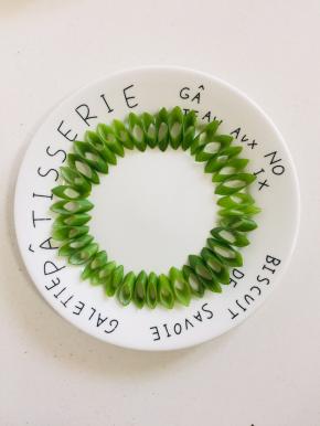 取一个平盘，用葱摆成一圈儿。