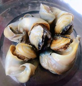 取出红里螺肉肉去掉螺腚只要螺头