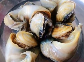 取出红里螺肉肉去掉螺腚只要螺头