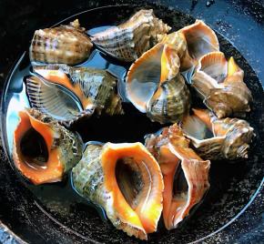 红里螺放入锅中倒入适量清水大火煮起来